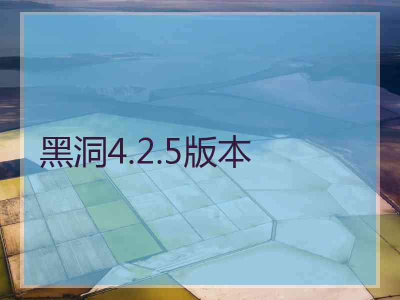 黑洞4.2.5版本