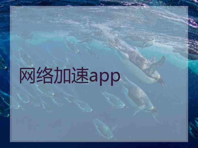 网络加速app