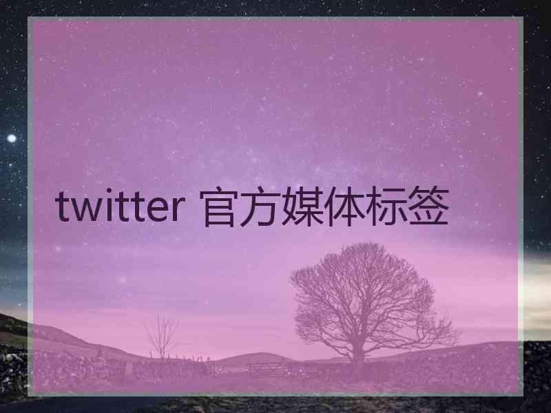 twitter 官方媒体标签