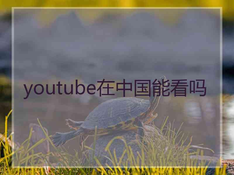 youtube在中国能看吗