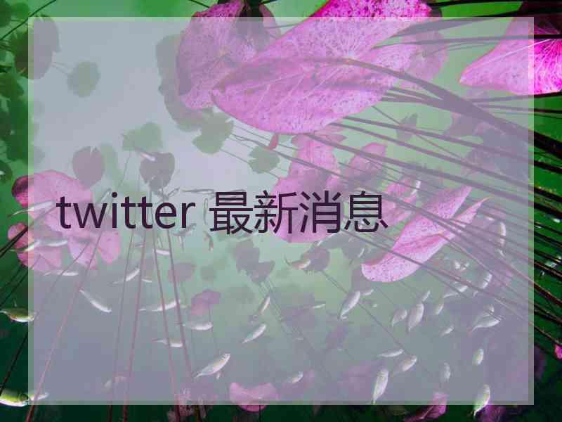 twitter 最新消息