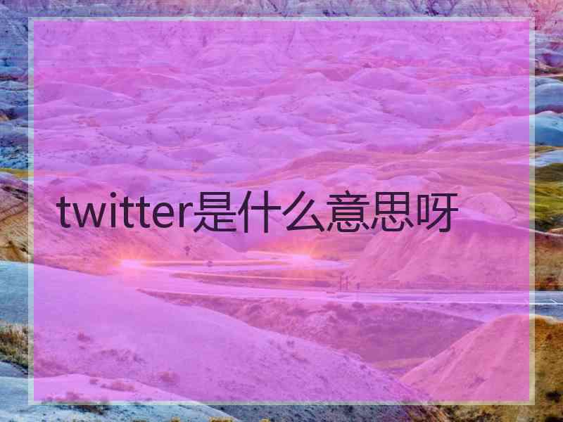 twitter是什么意思呀