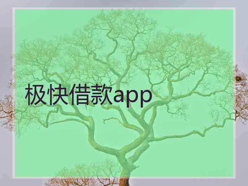 极快借款app