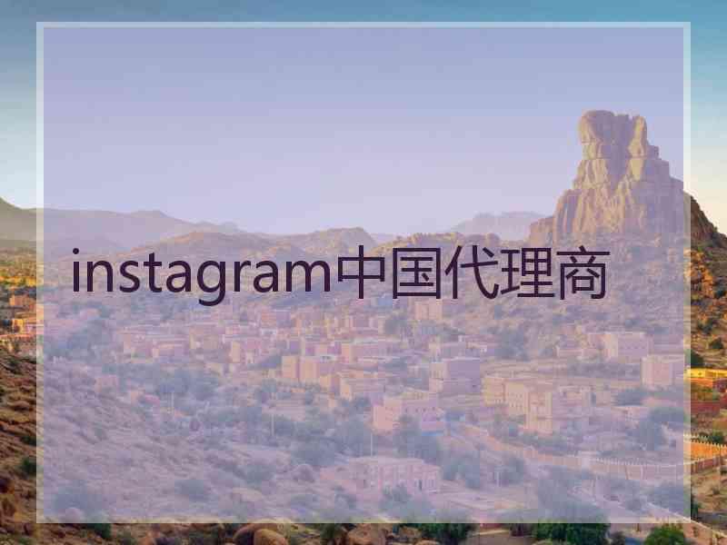 instagram中国代理商