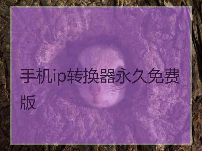 手机ip转换器永久免费版