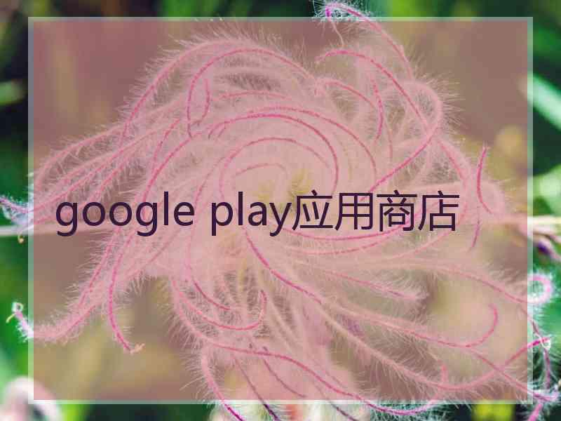 google play应用商店