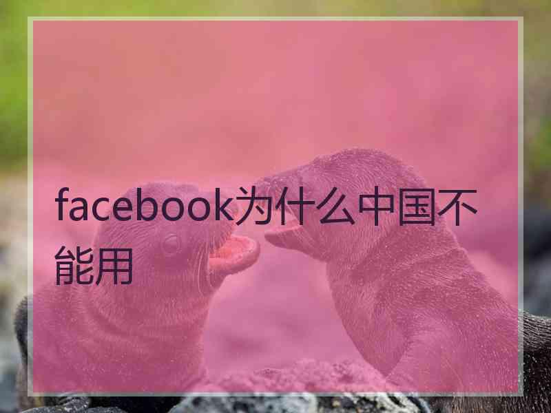 facebook为什么中国不能用