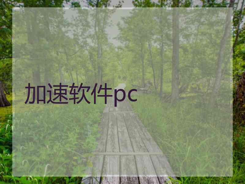 加速软件pc