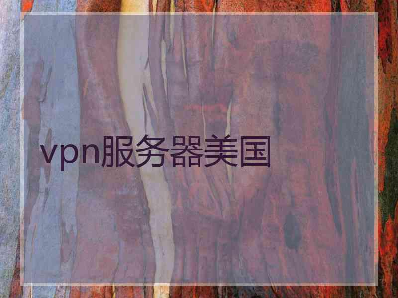 vpn服务器美国