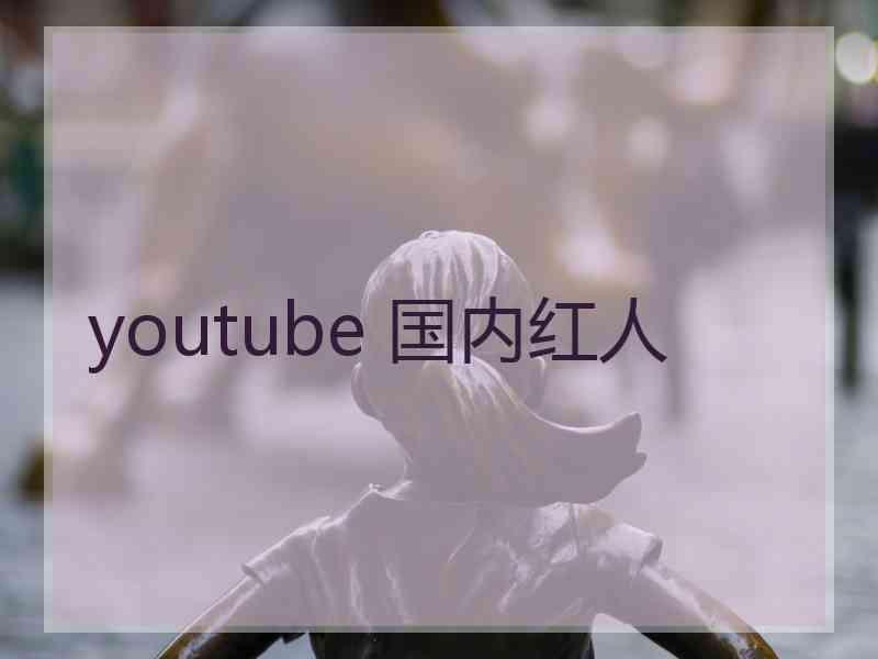 youtube 国内红人