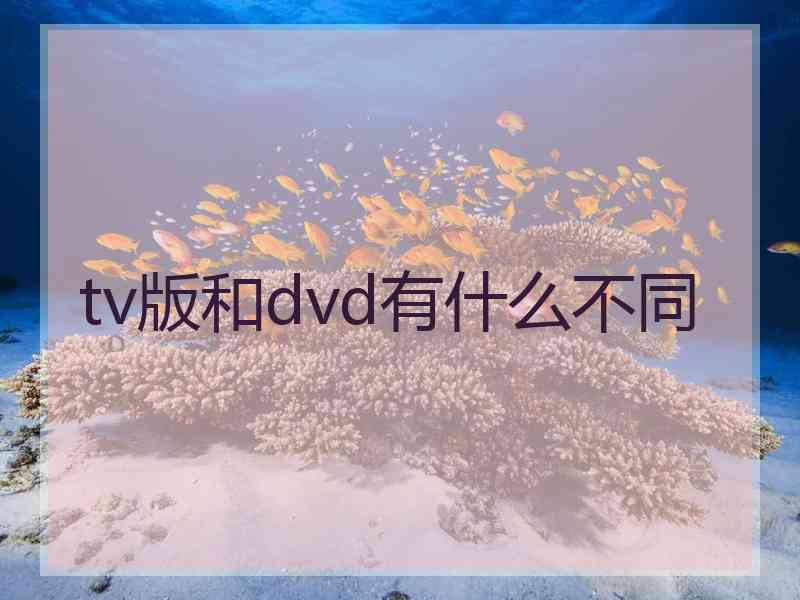 tv版和dvd有什么不同