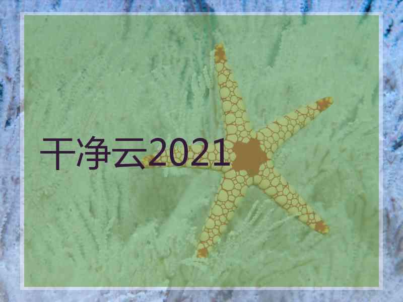 干净云2021