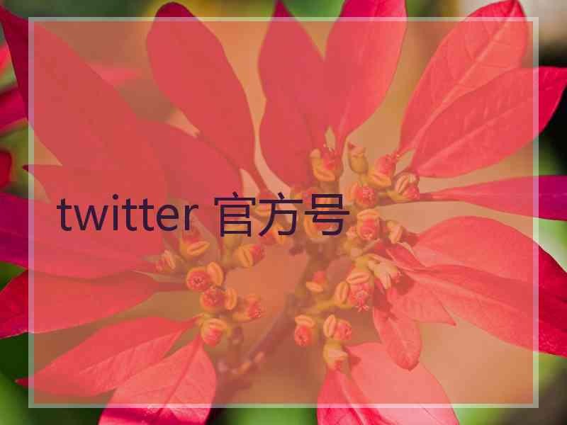 twitter 官方号