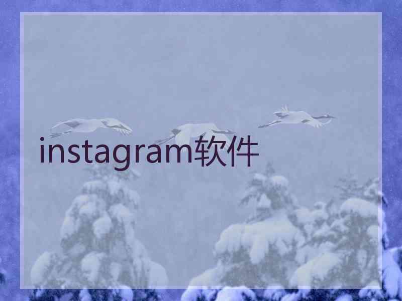 instagram软件