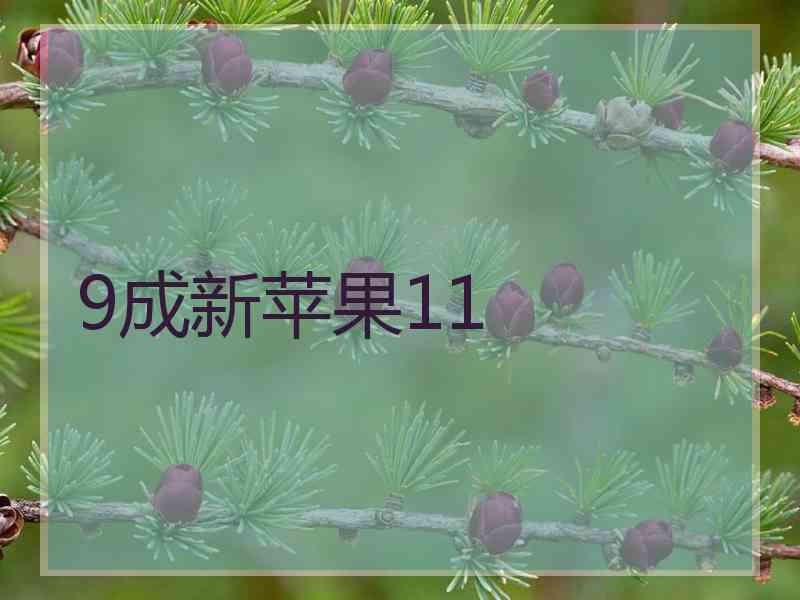 9成新苹果11