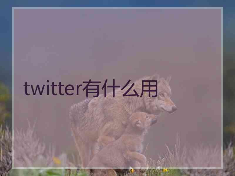 twitter有什么用