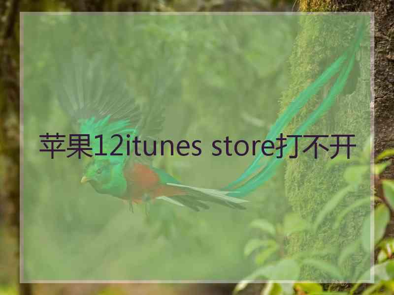 苹果12itunes store打不开