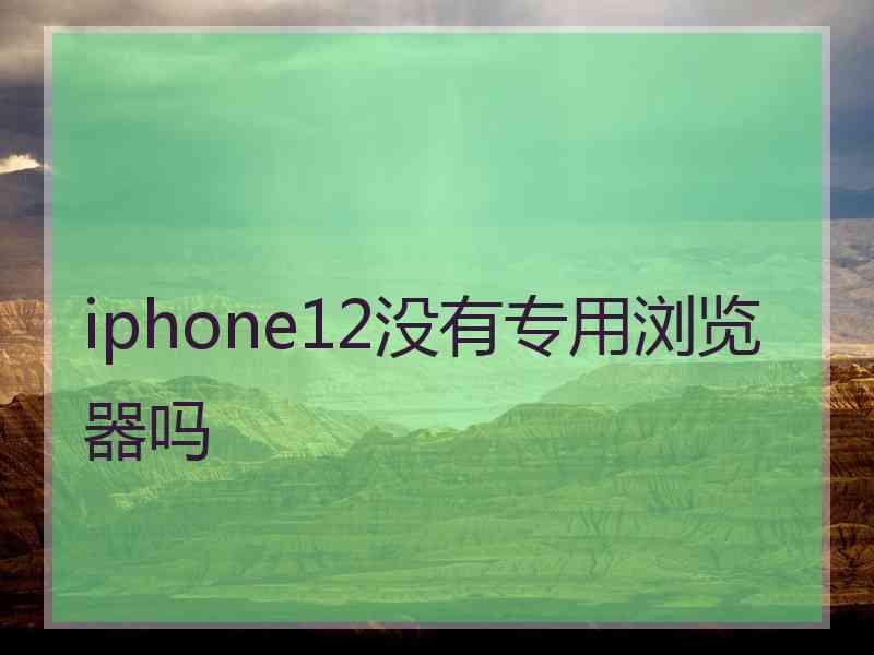 iphone12没有专用浏览器吗