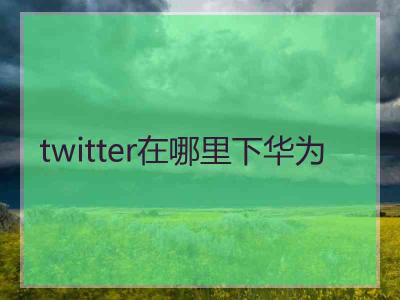 twitter在哪里下华为