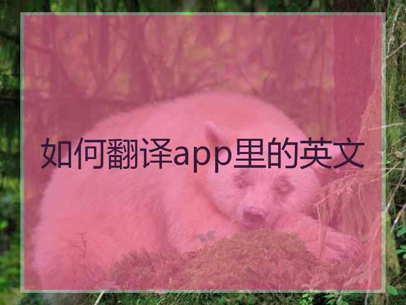 如何翻译app里的英文