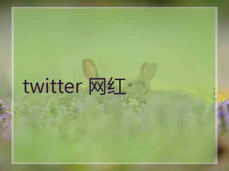 twitter 网红