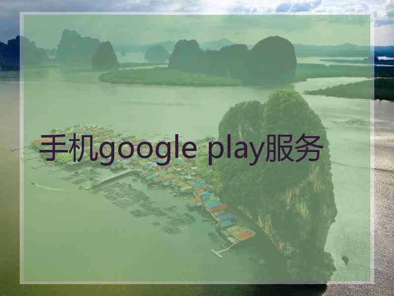 手机google play服务