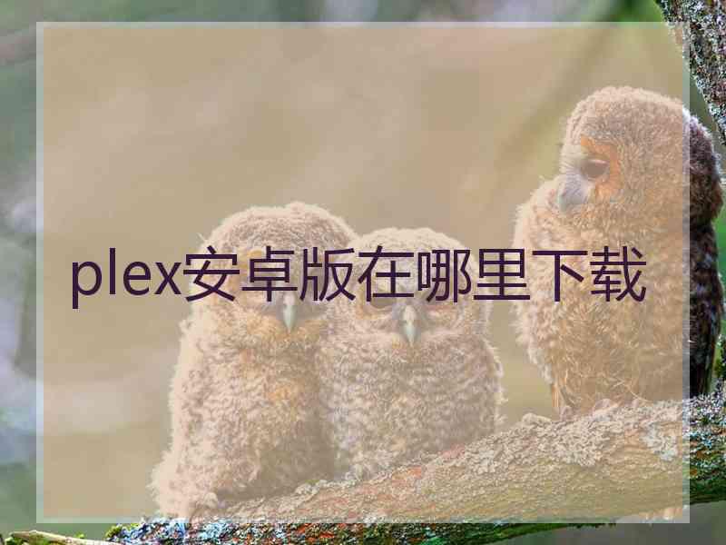 plex安卓版在哪里下载