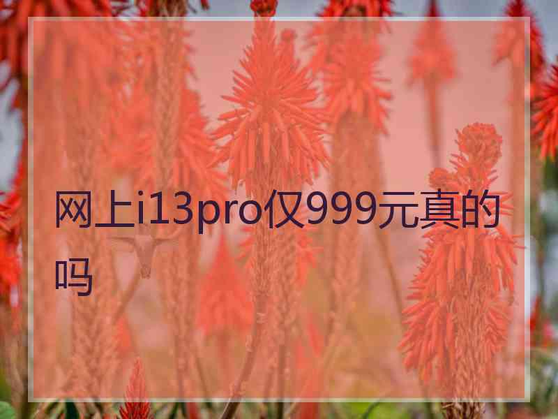 网上i13pro仅999元真的吗