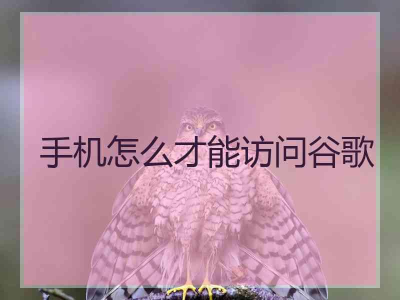 手机怎么才能访问谷歌