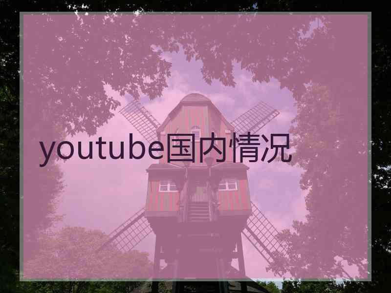 youtube国内情况