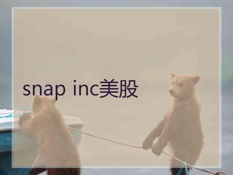 snap inc美股