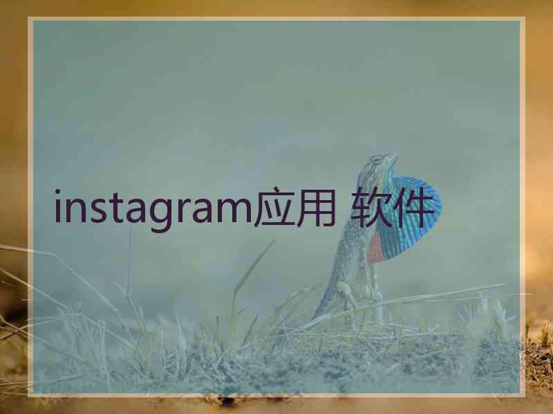 instagram应用 软件