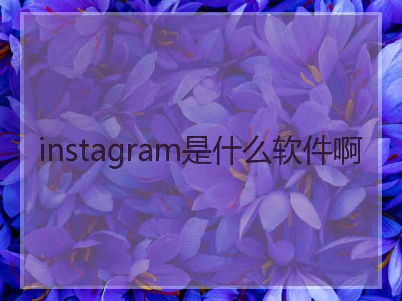 instagram是什么软件啊