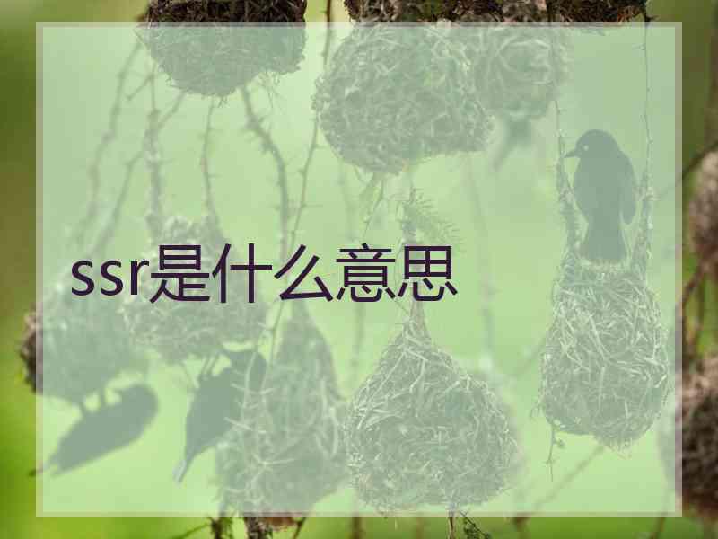 ssr是什么意思