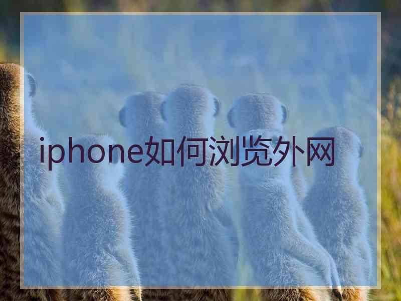 iphone如何浏览外网