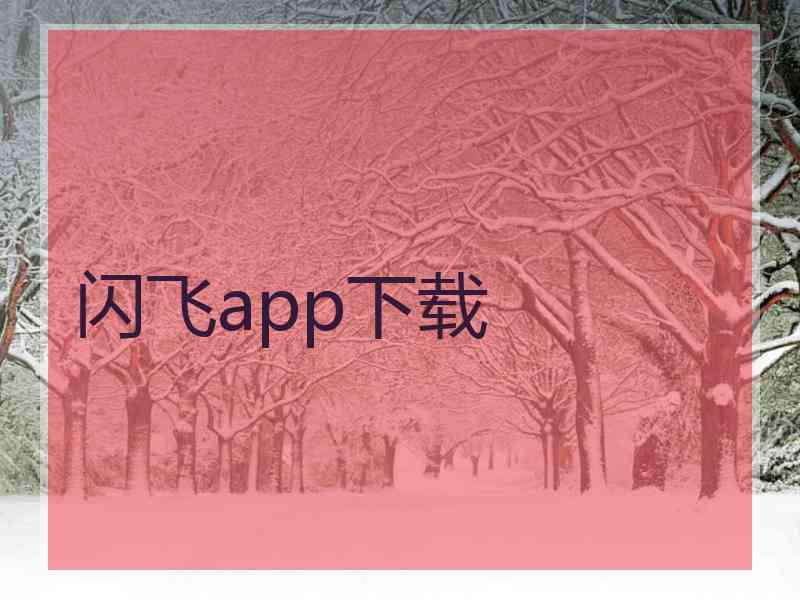 闪飞app下载