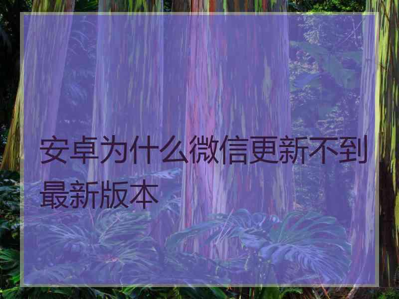 安卓为什么微信更新不到最新版本