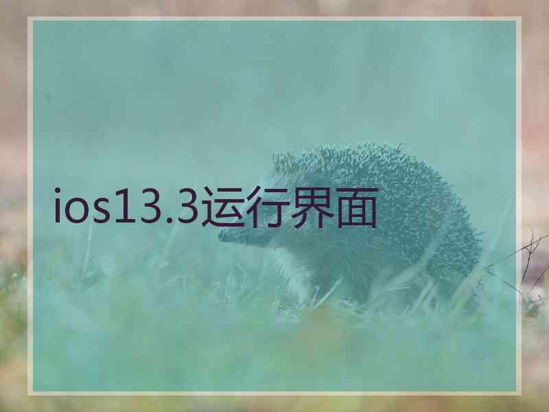 ios13.3运行界面